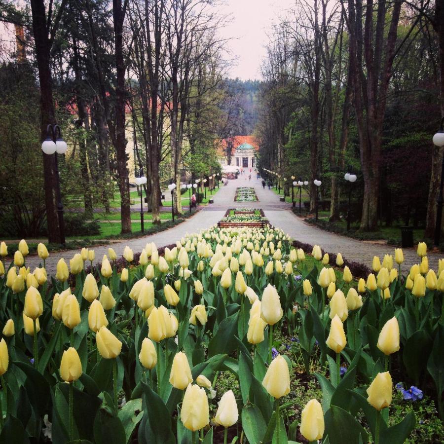 Villa Filmowiec Polanica-Zdrój Kültér fotó